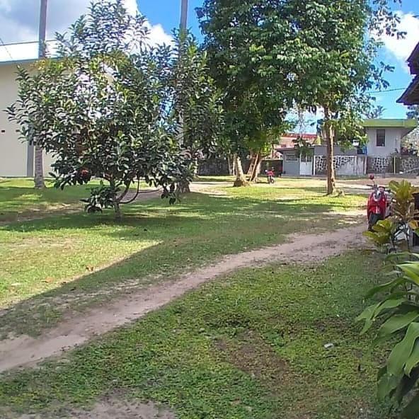 Mimi Guest House Syariah Pangkalan Bun Ngoại thất bức ảnh